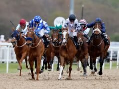 Selecciones de ITV 4 de Newsboy para Newcastle más consejos de las otras dos reuniones del viernes en el Reino Unido