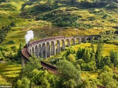 ¿ Es este el last de la línea del Expreso de Hogwarts? El icónico tren de Harry Potter corre el riesgo de descarrilarse debido a la situation de salud y seguridad de ₤ 7 millones del propietario