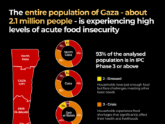 Hambre por diseño: cómo Israel convirtió los alimentos en un arma de guerra en Gaza