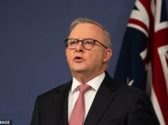 Una nueva encuesta debería provocar un escalofrío en la columna vertebral de Anthony Albanese dos semanas después de que Angus Taylor asumiera las riendas de la Coalición.