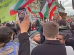 El vicepresidente del Partido Verde se une a la manifestación a support de Teherán