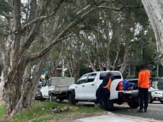 Los residentes se quejaron de que los ‘contratistas’ cortaban un árbol, pero el ayuntamiento insistió en que no los contrataron … fue entonces cuando se enteraron de la sorprendente verdad.