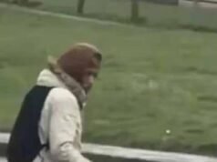 El sospechoso del ataque con cuchillo en Edimburgo “intentó entrar en la guardería”: el hombre “que dejó a dos characters heridas y saqueó la tienda” es arrestado después de siete horas de enfrentamiento disadvantage la policía